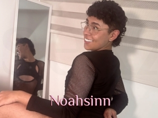 Noahsinn