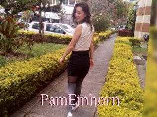 PamEinhorn