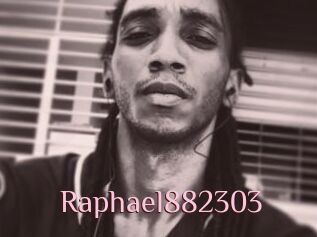 Raphael882303