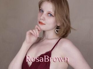 RosaBrown