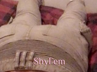 ShyFem