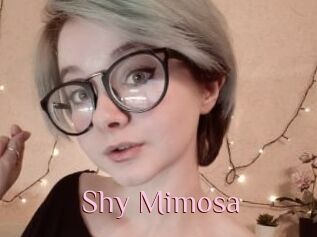 Shy_Mimosa