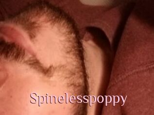 Spinelesspoppy