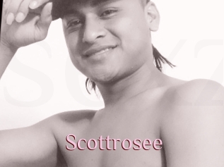 Scottrosee