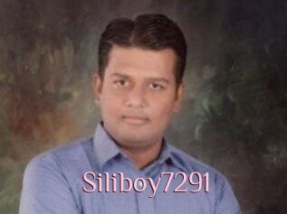 Siliboy7291