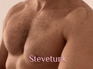 Steveturk