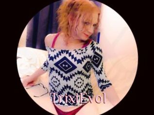 TrixiEvol