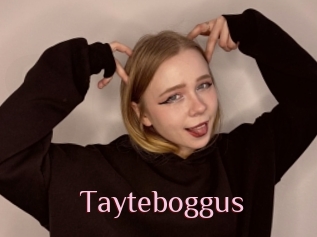 Tayteboggus