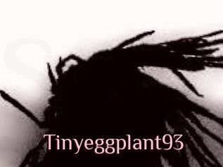Tinyeggplant93
