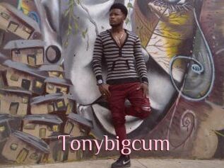 Tonybigcum