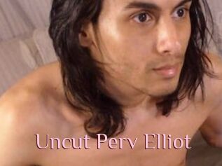 Uncut_Perv_Elliot