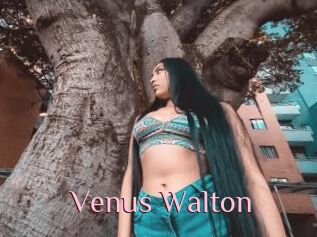 Venus_Walton