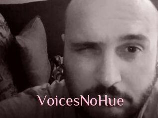 VoicesNoHue