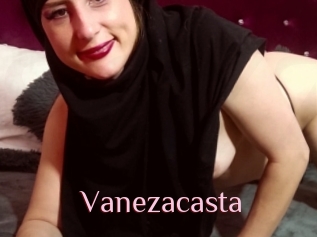 Vanezacasta