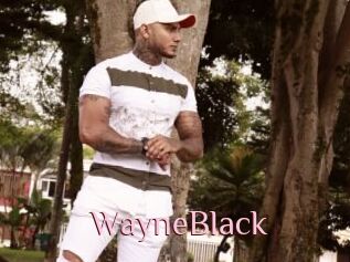 WayneBlack