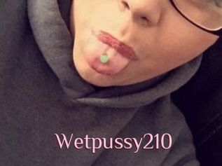 Wetpussy210