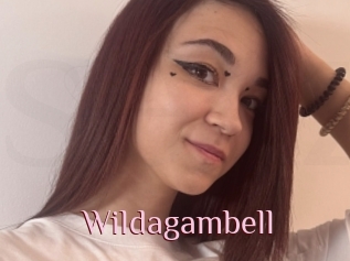Wildagambell