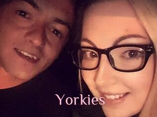 Yorkies