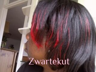 Zwartekut
